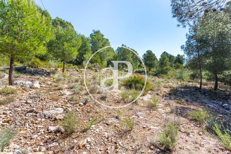 Foto f442c9d9-6a47-4521-9eff-d303e3b01396. Terreno residenziale in Olocau