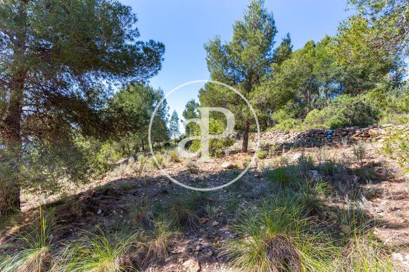 Foto fdbde01c-d0aa-41fc-9d38-4f269dbd94c5. Terreno residenziale in Olocau