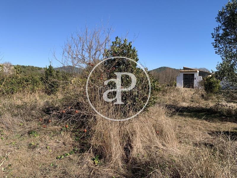Foto 32984e08-ff72-4a6e-94c2-e28ac38e0c1f. Terreny residencial a Estivella