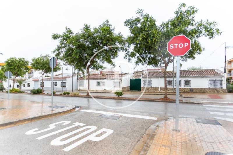 Foto 07e754c3-b1be-477d-bd20-6152026f43d0. Terreno residencial en Loriguilla