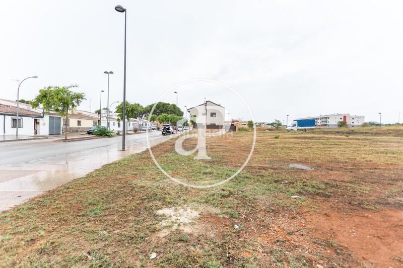 Foto afec5469-8833-450f-809a-4b22ea0f9c60. Terrain résidentiel dans Loriguilla