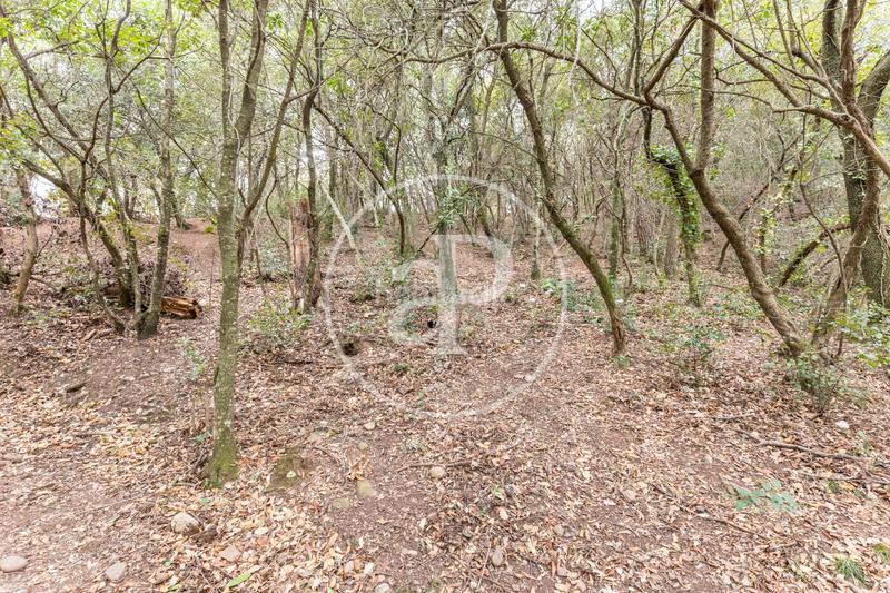 Foto 8ebe1c0d-76d1-4b71-92ca-9e8fb781c1b7. Terreno residencial en Matadepera