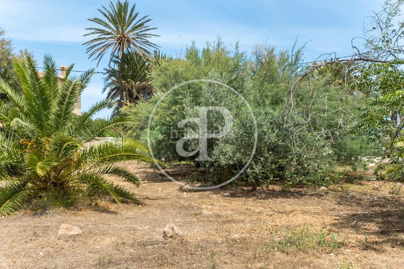 Foto ff9643e0-4b8d-449e-87fc-3a1008136ae4. Terreno residencial en Les Bassetes - El Marjal Dénia