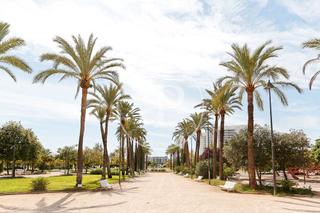 Terreny residencial a El Vedat - Santa Apolonia