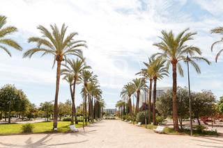 Residential Plot in El Vedat - Santa Apolonia