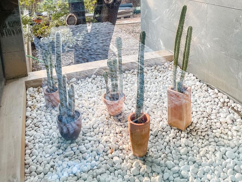 Foto 8b01fe4f-aee5-496f-8d6a-4e2d38402c5b. Affitto casa con riscaldamento parcheggio piscina in Sant Cugat del Vallès