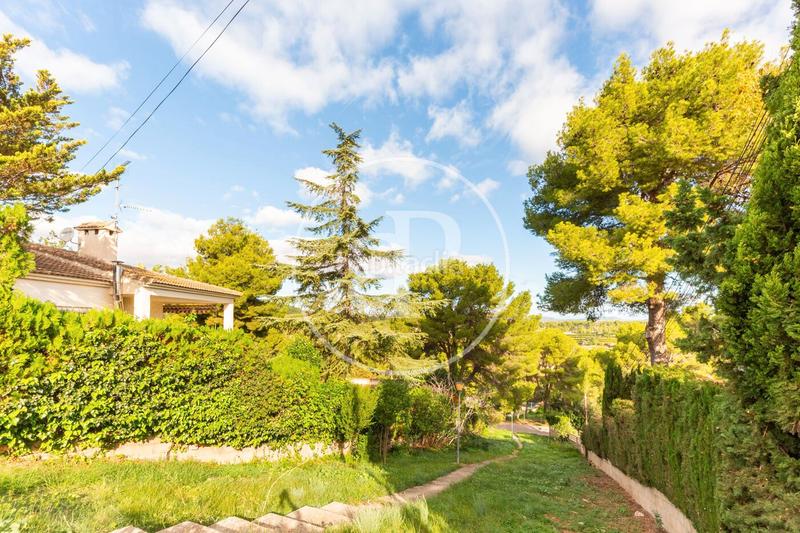 Foto 24b2cde3-5bc2-47a4-a975-8a6829b052a4. Terreno residencial en Centro Chiva