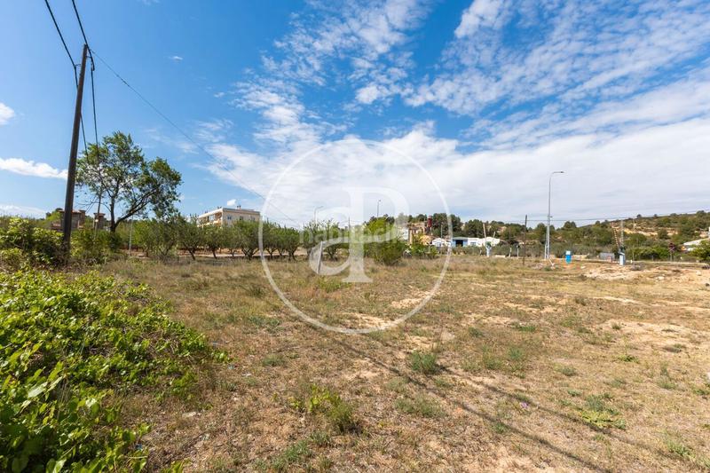 Foto 8a2e3918-d473-4eaa-aa72-cfb71a06cb8b. Terreno residencial en Centro Chiva