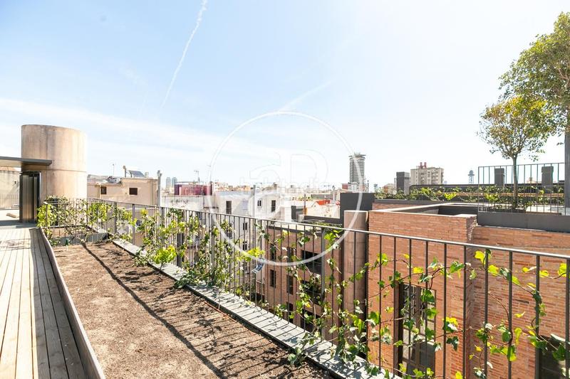 Foto c8c440c5-5bbb-477f-98c9-a967bc371f72. Etagenwohnung mit heizung pool in Raval Barcelona