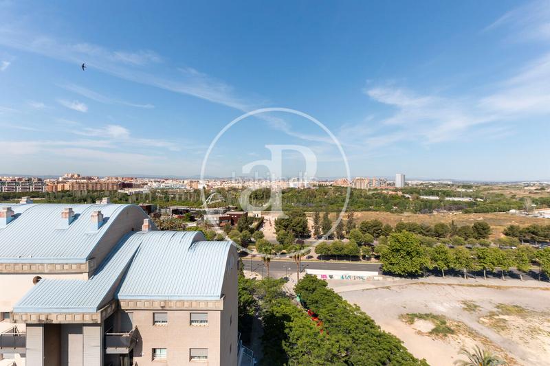 Foto c549935f-d21c-4007-830f-94ff95b6313c. Ático  en venta en Nou Campanar en Nou Campanar Valencia