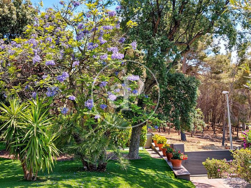 Foto 27324c97-58bf-46d7-bb6a-fec931b07ff7. Maison avec chauffage parking piscine dans Teià