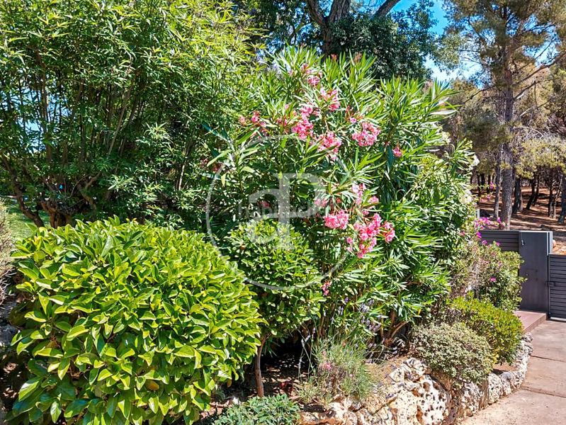 Foto b2f82eed-88a2-4303-a34a-d0f6b4f43a25. Maison avec chauffage parking piscine dans Teià