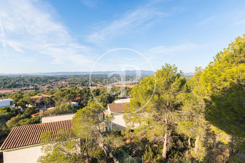 Foto 1e0ecc97-21f2-477d-8723-dd0e46d6ae94. Casa chalet independiente en venta en albalat dels tarongers en Sagunt