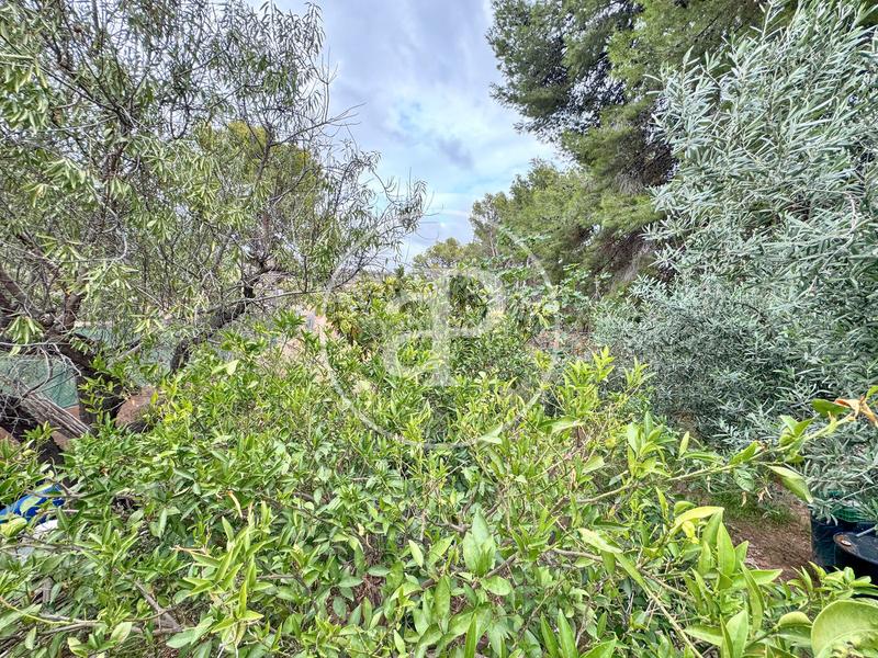 Foto 2549216a-c6da-4e15-b968-562e6c78a427. Casa chalet independiente en venta en albalat dels tarongers en Sagunt