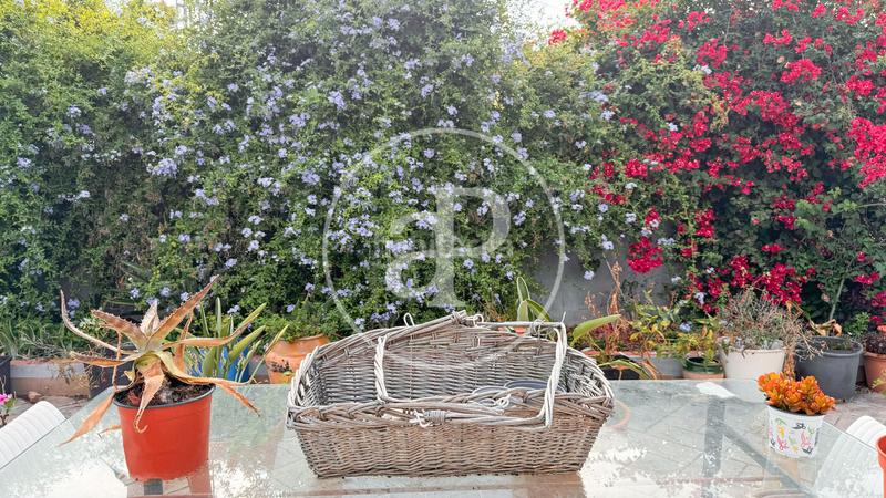 Foto 2a7f5fa4-2cab-4563-9da4-c43902579181. Casa chalet independiente en venta en albalat dels tarongers en Sagunt