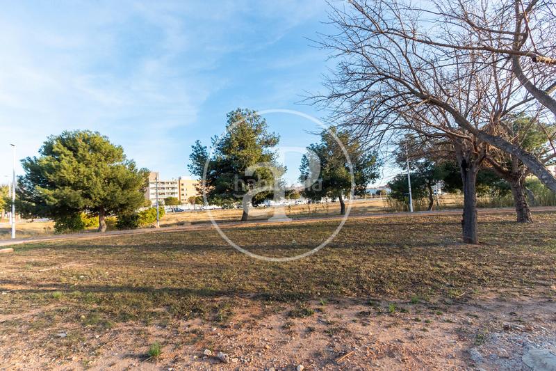 Foto 46f3139c-5186-4d1d-8349-6b1e8e118a1d. Casa chalet independiente en venta en albalat dels tarongers en Sagunt