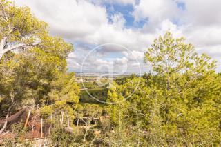 Terreny residencial a El Bosque