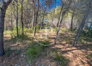 Residential Plot  Carrer agramunt