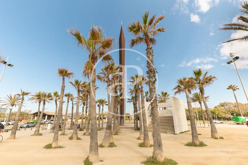 Foto 376b56e1-e123-4f1d-94bd-67f370a4e58a. Rent flat with heating pool in Poblenou Barcelona