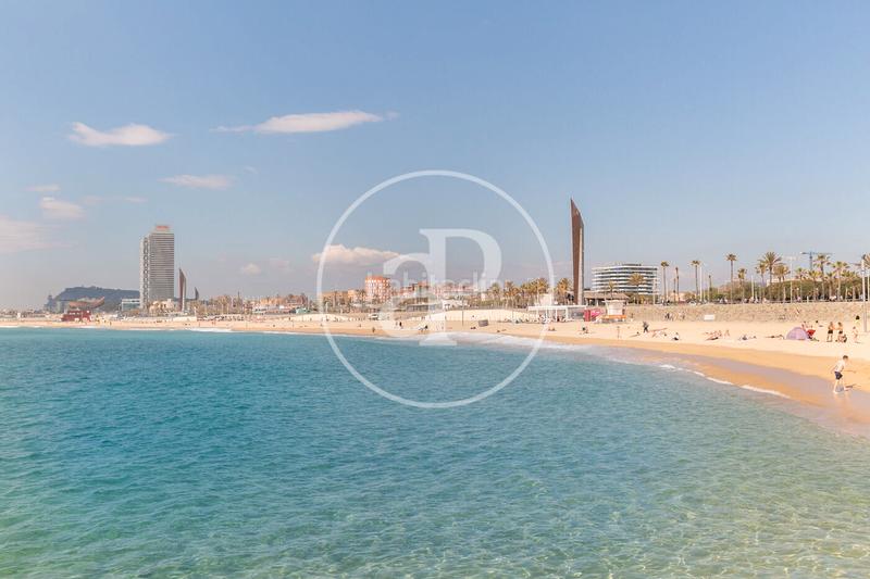 Foto 824d37c8-bca1-47ac-9223-440288beca08. Rent flat with heating pool in Poblenou Barcelona