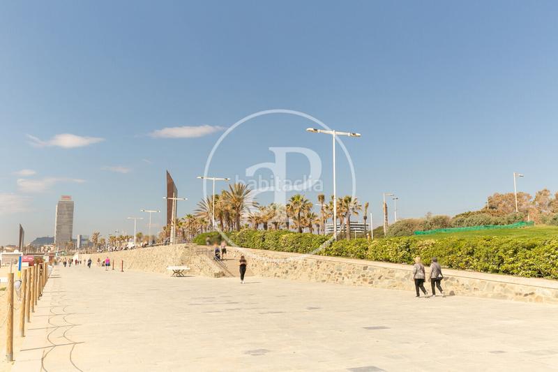 Foto 95b668b1-443a-40b8-9b42-5ffacbd7c928. Rent flat with heating pool in Poblenou Barcelona