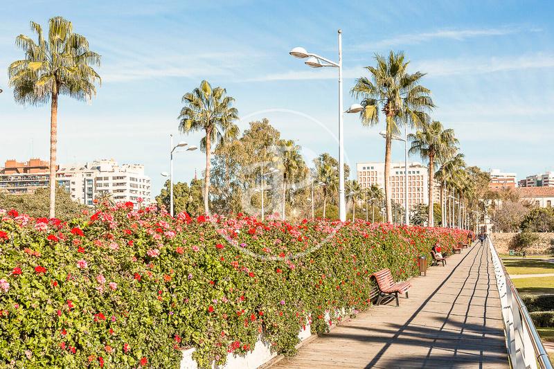 Foto bf509b64-2b1a-4ffe-b206-b1174d1f19df. Pis amb calefacció a Mont Olivet Valencia