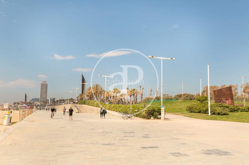 Foto a051209c-fa4f-4000-9533-0e413e891057. Alquiler piso  obra nueva en alquiler, frente al mar en Barcelona