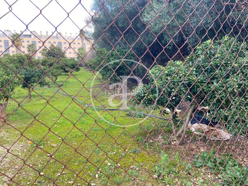 Foto 3f4e31c6-5ff6-4398-b2da-2824d90bb6fd. Terreno residenziale in Les Bassetes - El Marjal Dénia