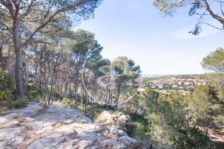 Terreny residencial a El Bosque