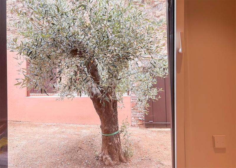 Foto ee03431e-a451-4589-b22b-dc09e6c92b36. Maison 329m<sup>2</sup> avec piscine dans Sa Riera-Sa Fontansa Begur