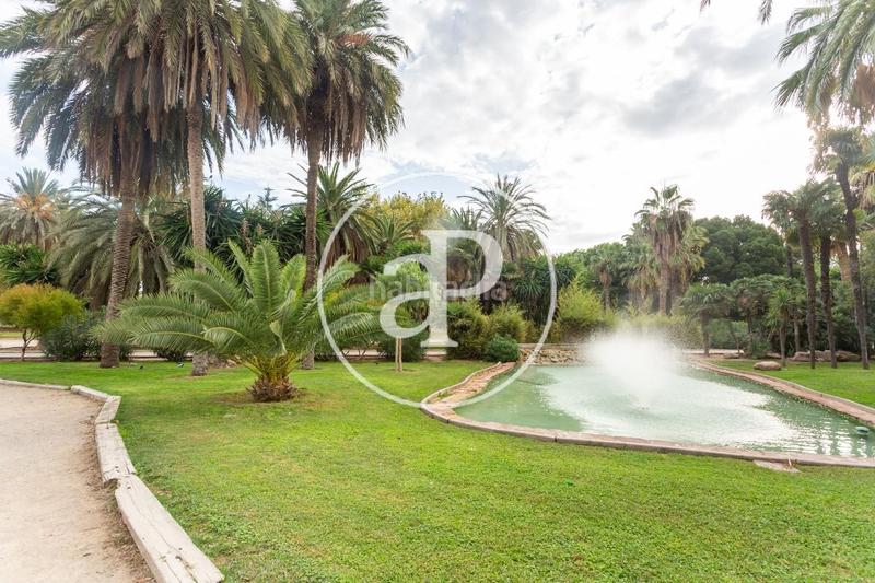 Foto a52da411-ab8a-4938-801f-b5510610846d. Piso oficina en venta en calle alboraya en Trinitat Valencia