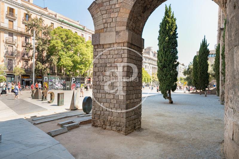 Foto 08a4ef76-515d-4aeb-b89f-6c0bbf0c6e0f. Lloguer pis amb calefacció a Raval Barcelona