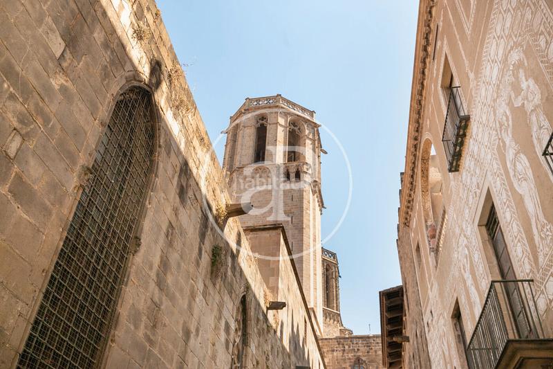 Foto a0b4e538-09e6-4690-9d6f-b28c0772920e. Miete etagenwohnung mit heizung in Raval Barcelona