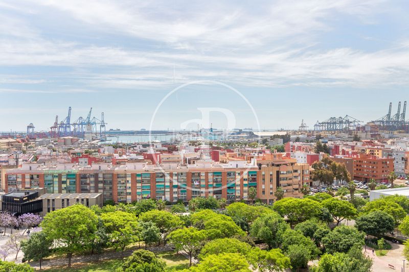 Foto d48ff586-3704-4c9e-9af1-62f01f5879c6. Àtic amb calefacció aparcament piscina a La Punta Valencia