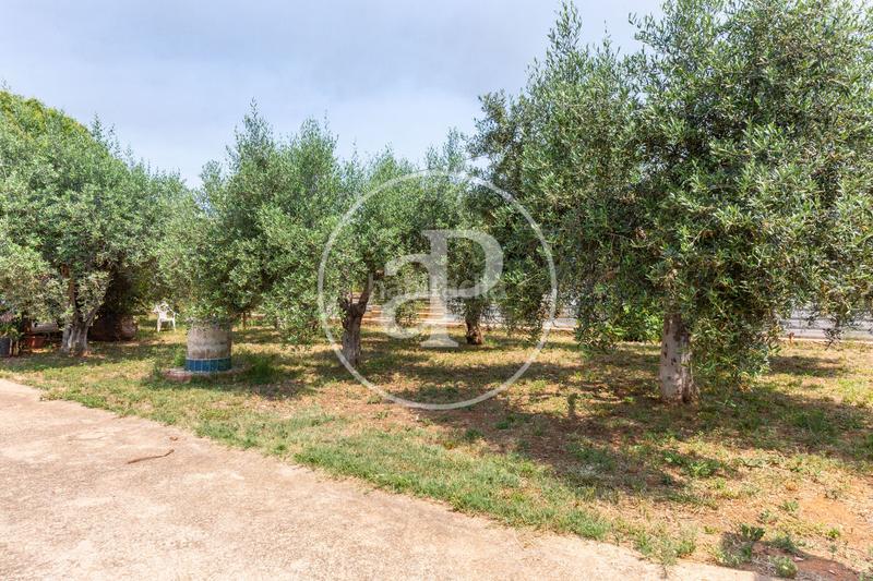 Foto 74fa4113-6649-412e-b45d-4eb9b1de83b0. Maison avec chauffage parking piscine dans Ciutat del Transport - La Salera Castellón de la Plana