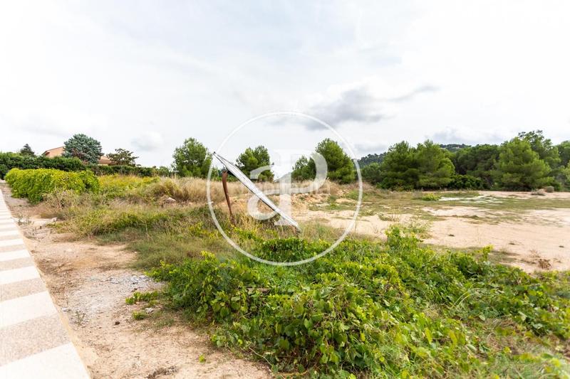 Foto 65d59858-9972-4fa8-a4bc-fd239f0831a7. Terreno residencial en El Bosque Chiva