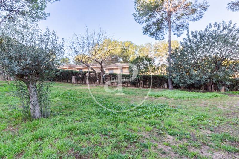 Foto 4f1b7205-3013-47d9-8db4-00b700153047. Terreny residencial a El Bosque Chiva