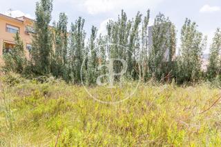 Residential Plot in Turís