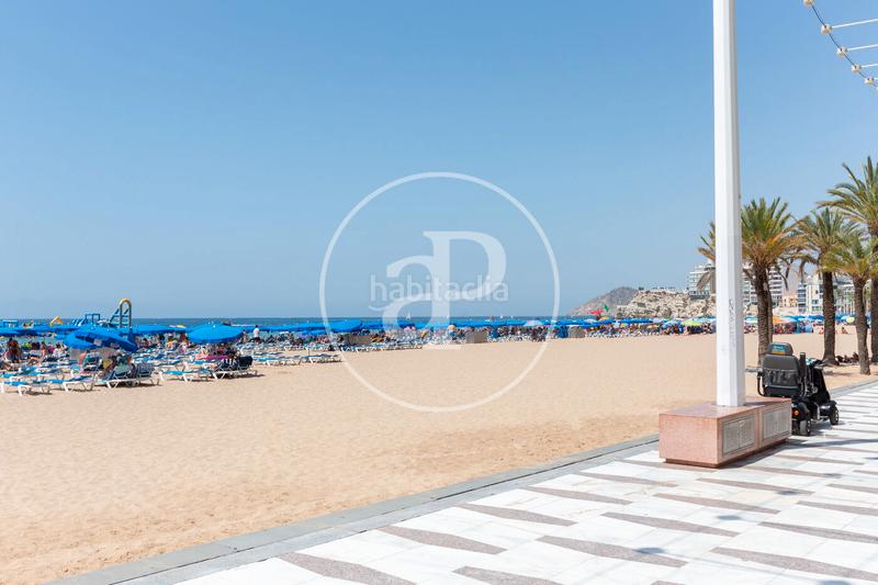 Foto 67947b3c-92c1-4253-ab5c-2bf893fbd7cb. Pis amb calefacció aparcament piscina a Playa Levante Benidorm