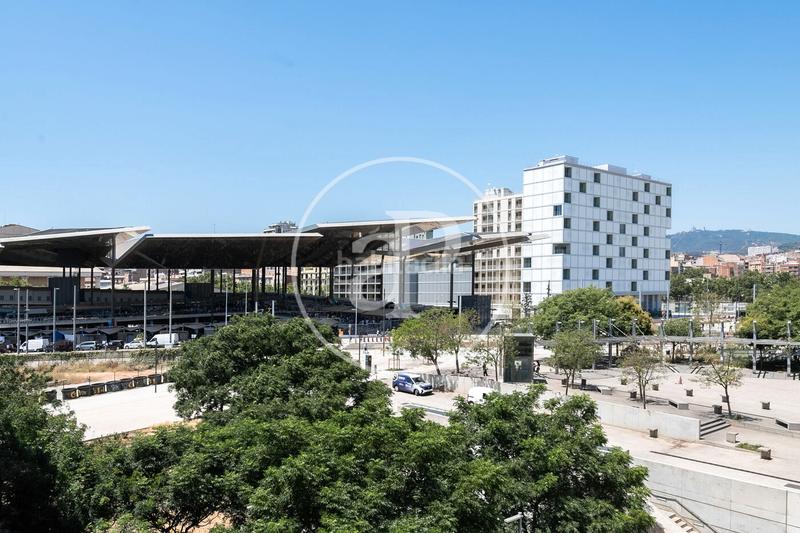 Foto 01389d0e-c39d-4737-8eed-8ce6a2b5c873. Alquiler piso  en alquiler en poblenou en El Parc i la Llacuna del Poblenou Barcelona