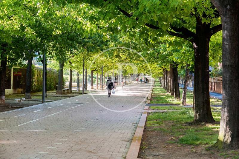 Foto 68544727-f5db-496b-8460-5725ec02c47e. Ático 79m<sup>2</sup> en Centre - Estació Sant Cugat del Vallès