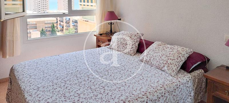 Foto 54d6c086-bb7d-4c88-baee-6d9dad6bafaa. Piso  en venta en el campello en Playa Muchavista Campello (el)