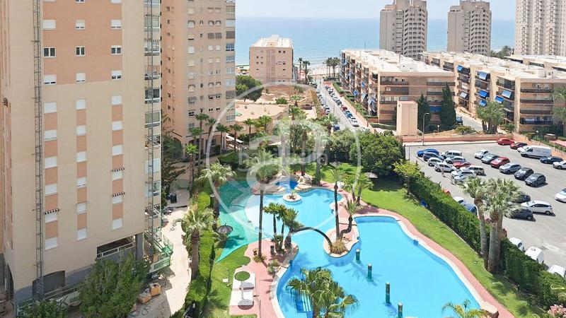 Foto d53bab79-5a7d-43d9-b034-ac008b259b81. Piso  en venta en el campello en Playa Muchavista Campello (el)