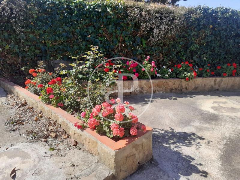 Foto 5e6be111-bf85-49cc-8f65-1b5527df9d9b. Casa chalet independiente en venta en Corralet-Bonanza-Tres Rutas Náquera