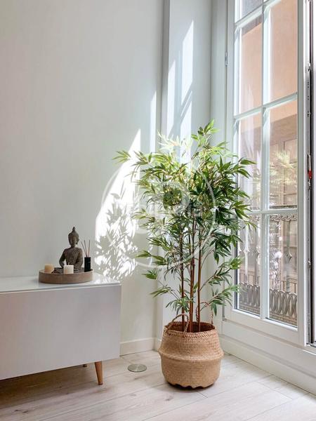 Foto fb4dcb07-b426-4a67-8648-e437bdaf5b4e. Piso  en venta en El Carmen en El Carme Valencia