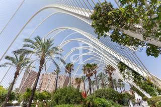 Pis  Av. de la plata. Piso en venta en ciudad de las artes y las ciencias