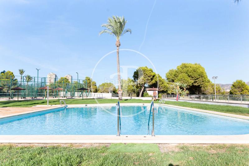 Foto e742a5ee-0d9c-4198-99f2-b630a28840c3. Appartamento con parcheggio piscina in Via Parque Benidorm