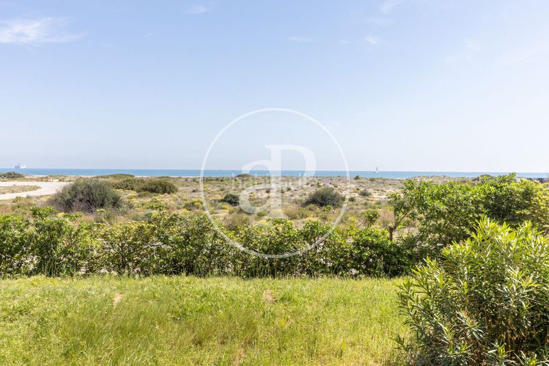 Foto 639ff590-18a0-4a8b-be4c-2a313a3f9251. Pis amb calefacció aparcament piscina a El Saler Valencia