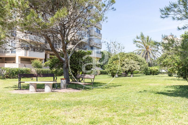 Foto f7f2e46a-c81e-4b27-80d1-fd0e4d6bf319. Pis amb calefacció aparcament piscina a El Saler Valencia