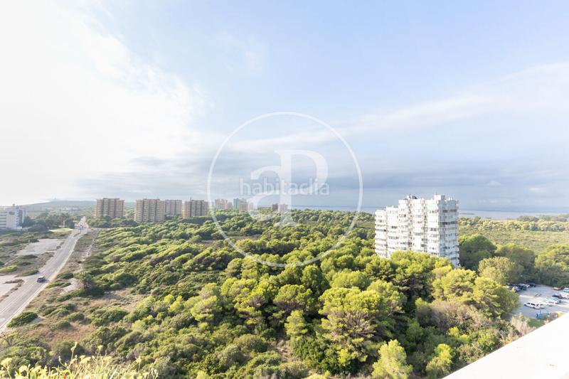 Foto fda86ad8-fa15-4fa0-ad86-2d5b21508383. Alquiler ático  en alquiler en la playa dEl Saler en Valencia